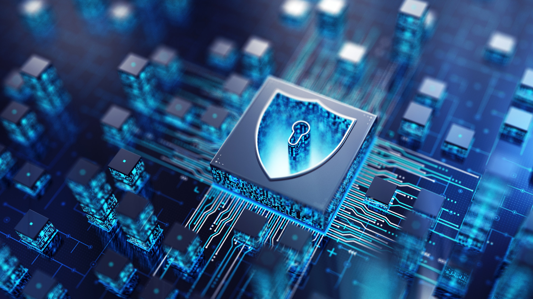 Data Visibility: The Missing Link in Government Cybersecurity Strategies Data Visibility: The Missing Link in Government Cybersecurity Strategies